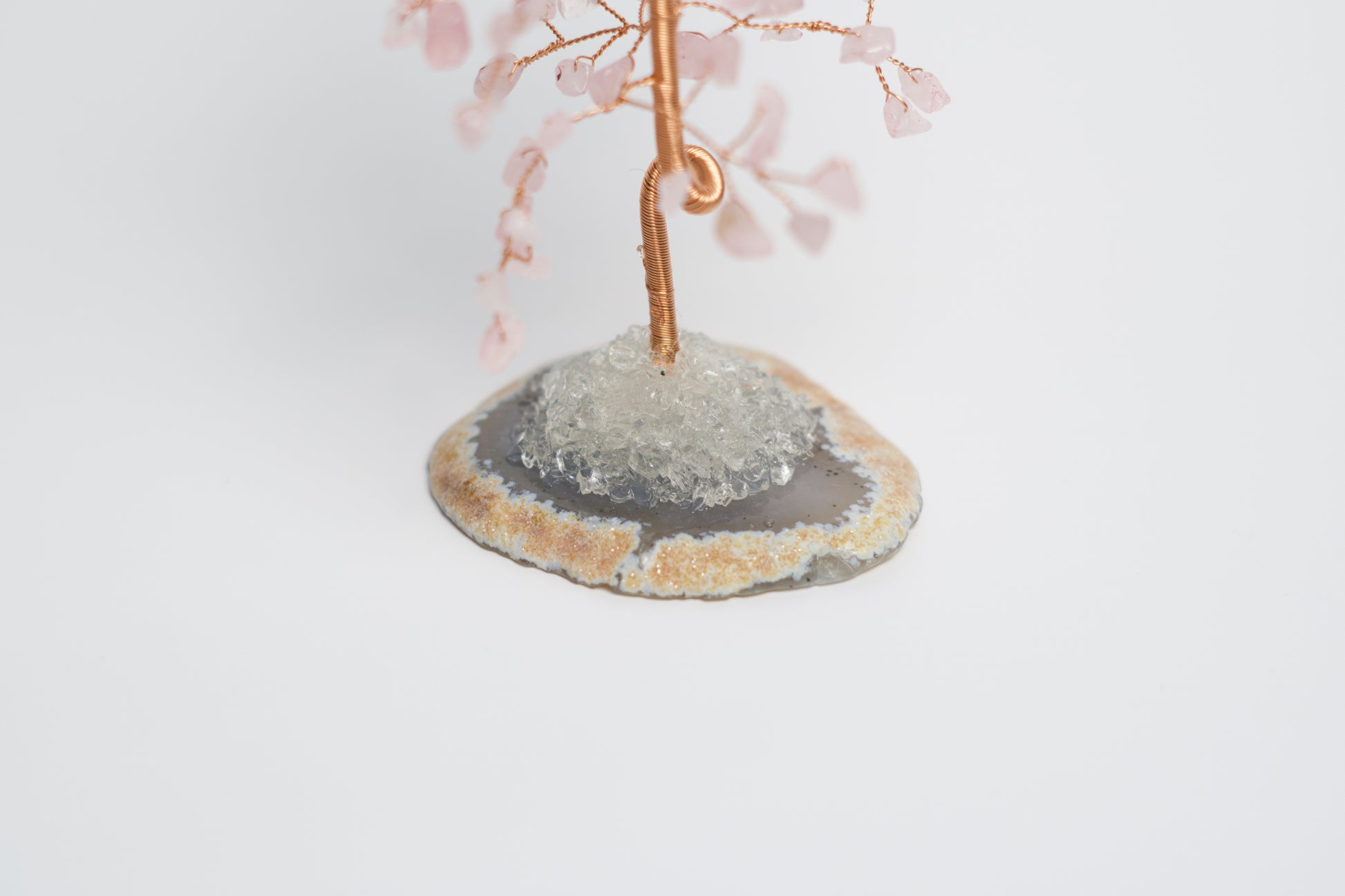 rose quartz money tree meaning SM MONEY TREE | ROSE QUARTZ