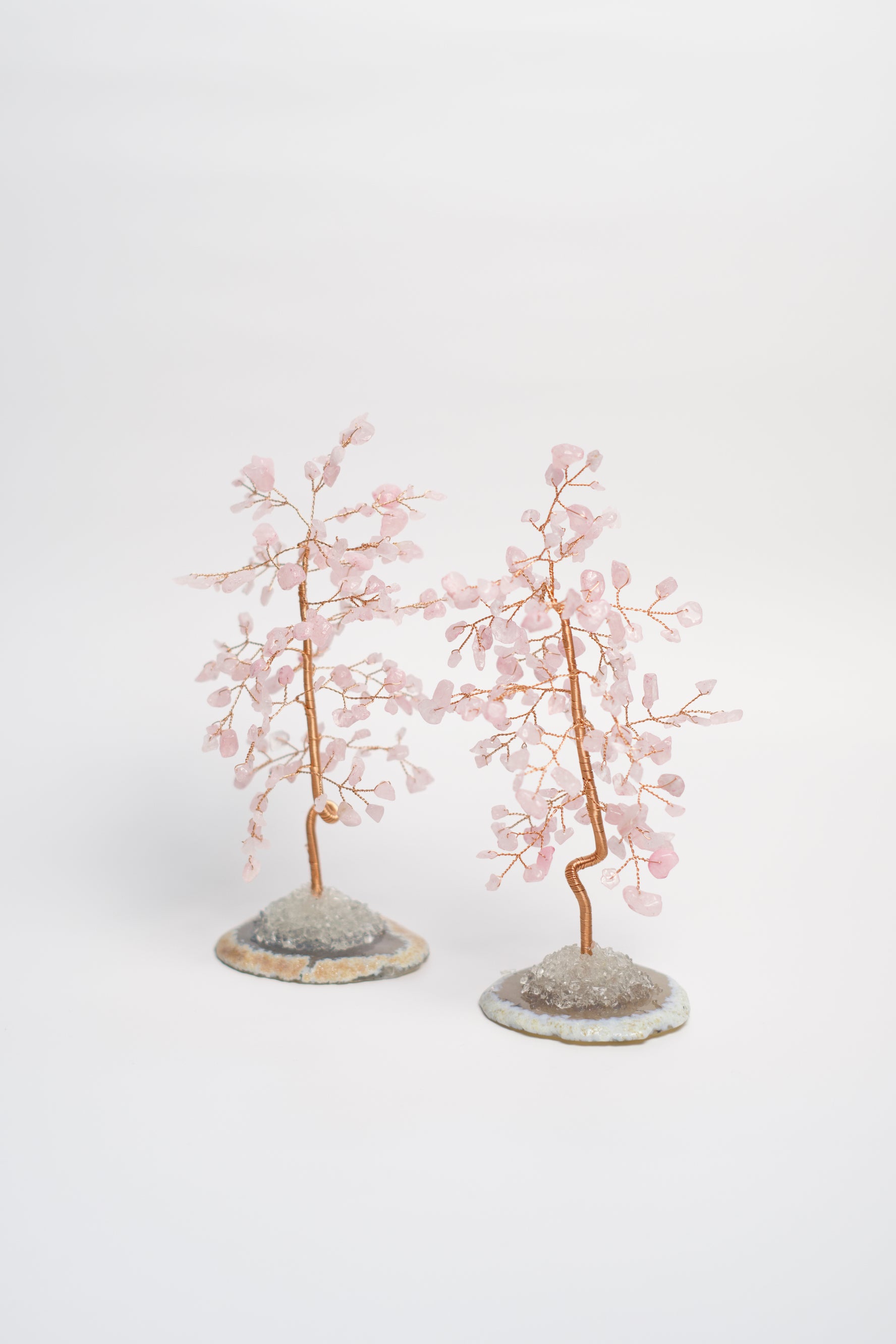 rose quartz money tree meaning SM MONEY TREE | ROSE QUARTZ