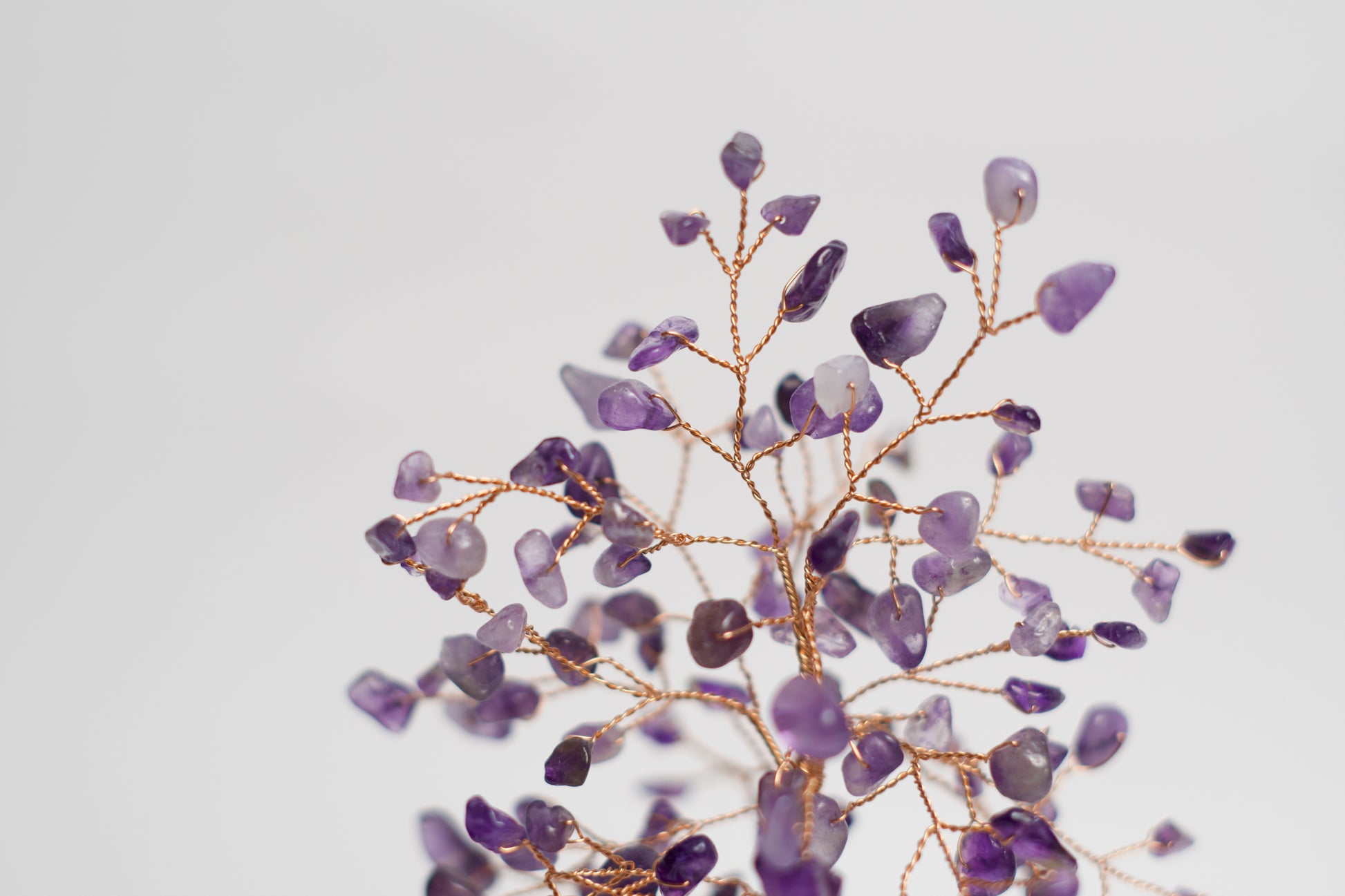 amethyst money tree SM MONEY TREE | AMETHYST