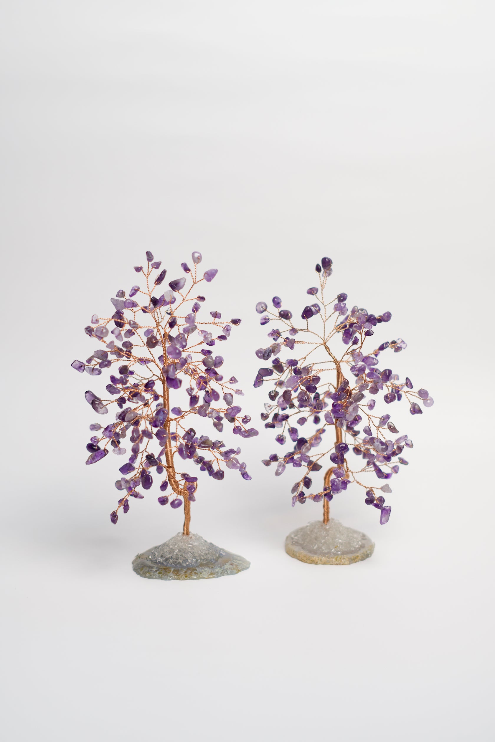 purple money tree SM MONEY TREE | AMETHYST
