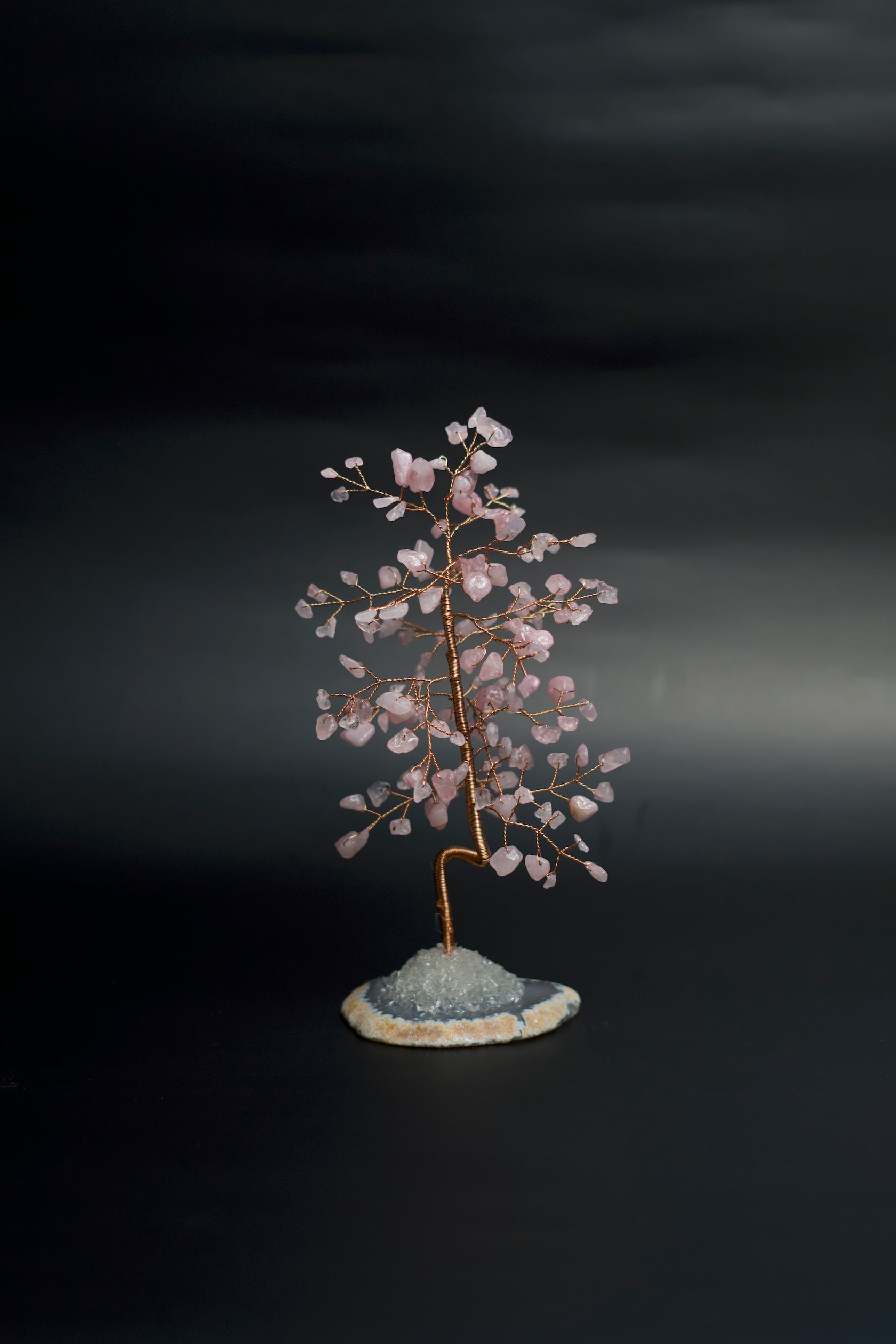 rose quartz money tree SM MONEY TREE | ROSE QUARTZ
