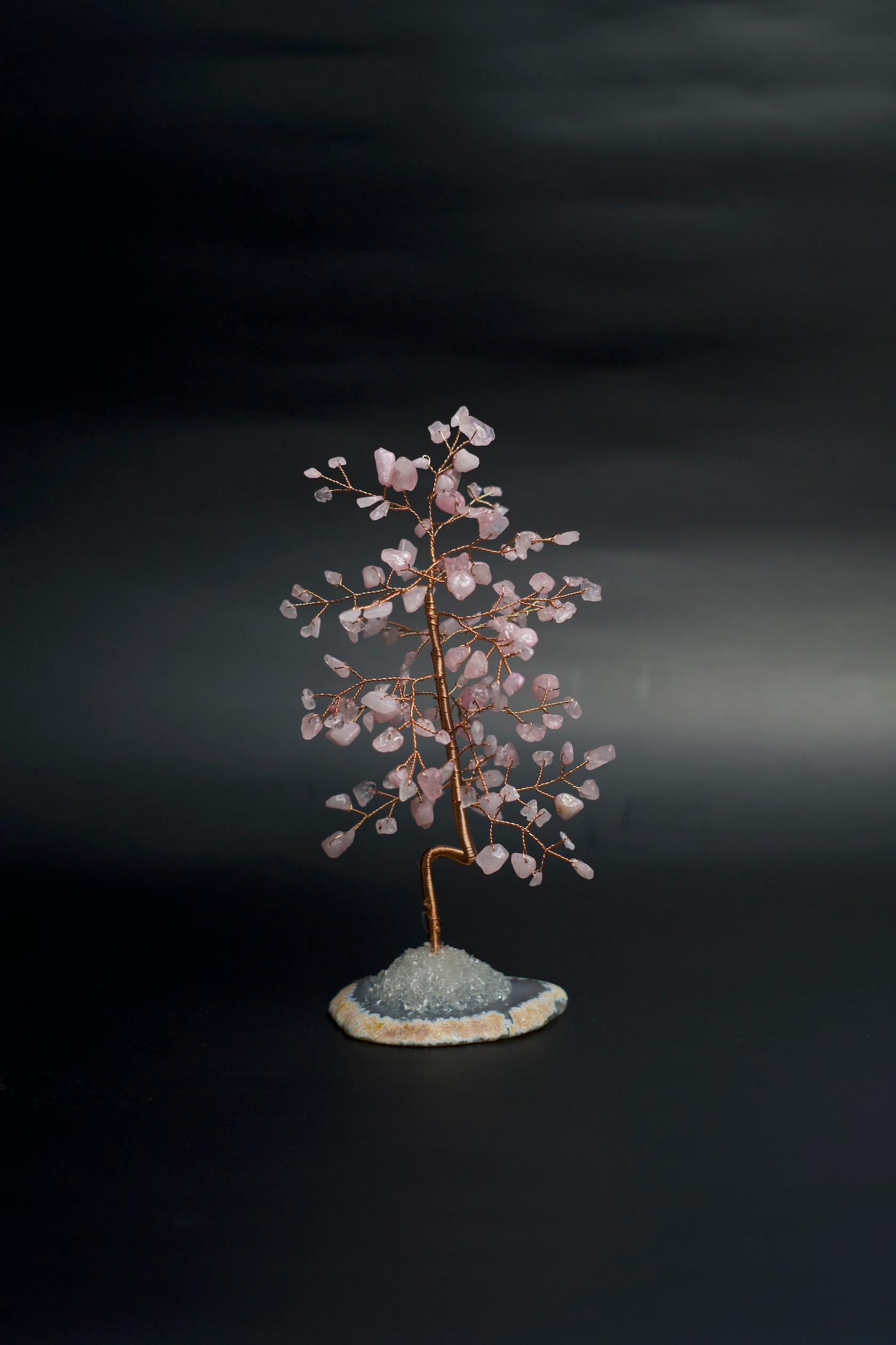 money tree mira mesa SM MONEY TREE | ROSE QUARTZ