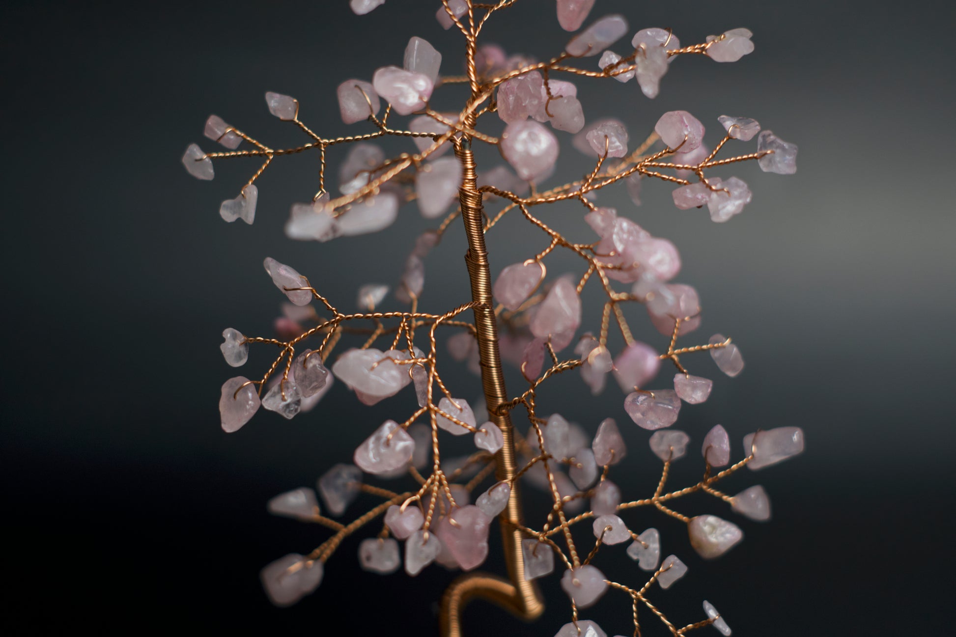 rose quartz money tree meaning SM MONEY TREE | ROSE QUARTZ