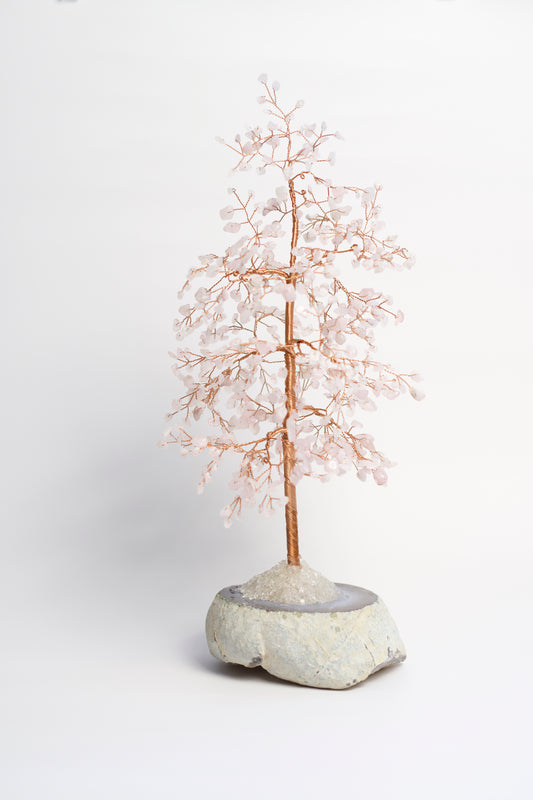 LG MONEY TREE | ROSE QUARTZ | G107