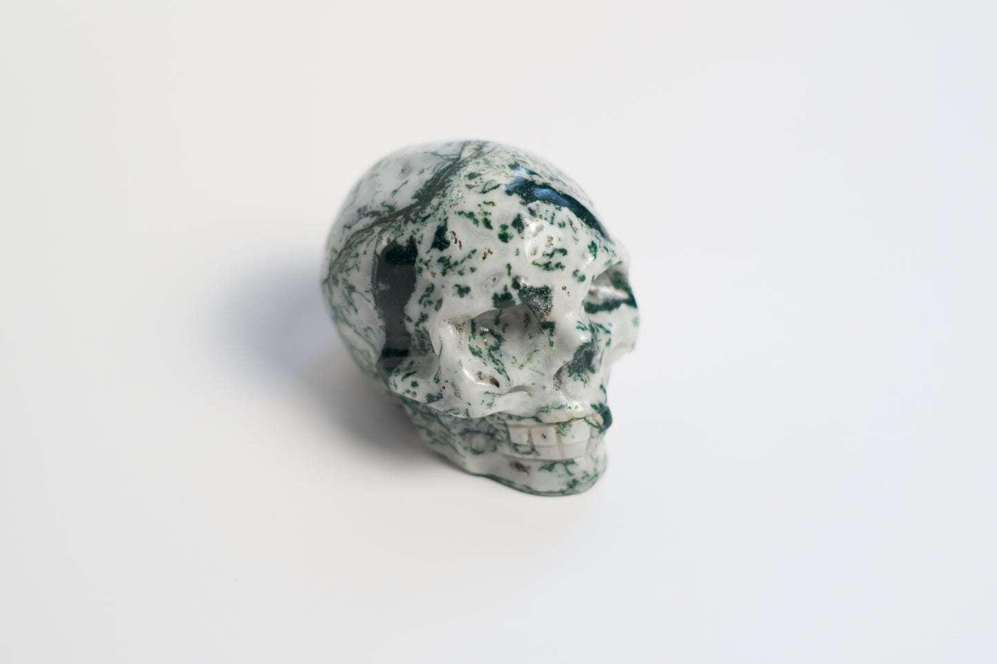 MD SKULL | TREE AGATE | G119