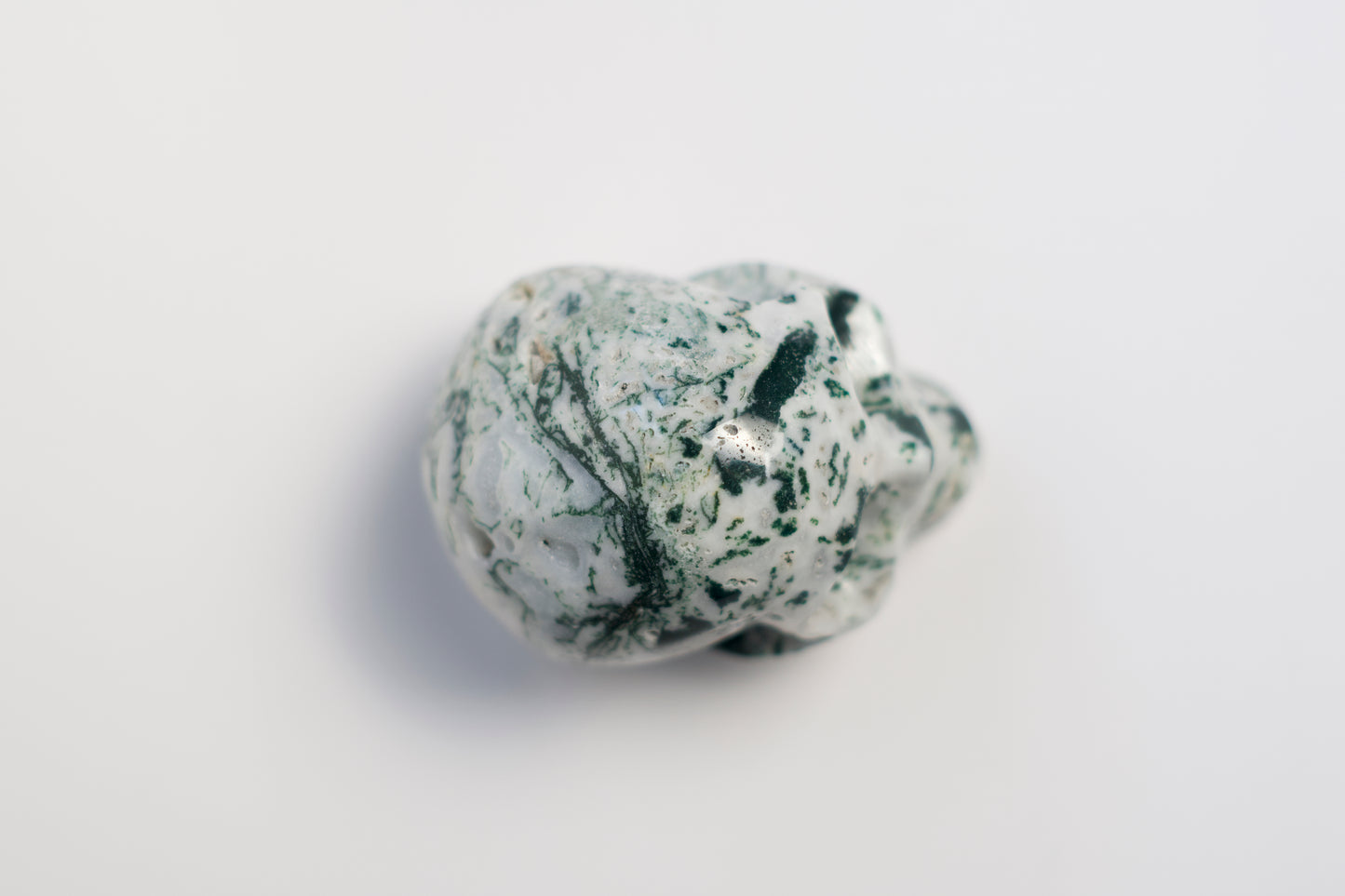 MD SKULL | TREE AGATE | G119