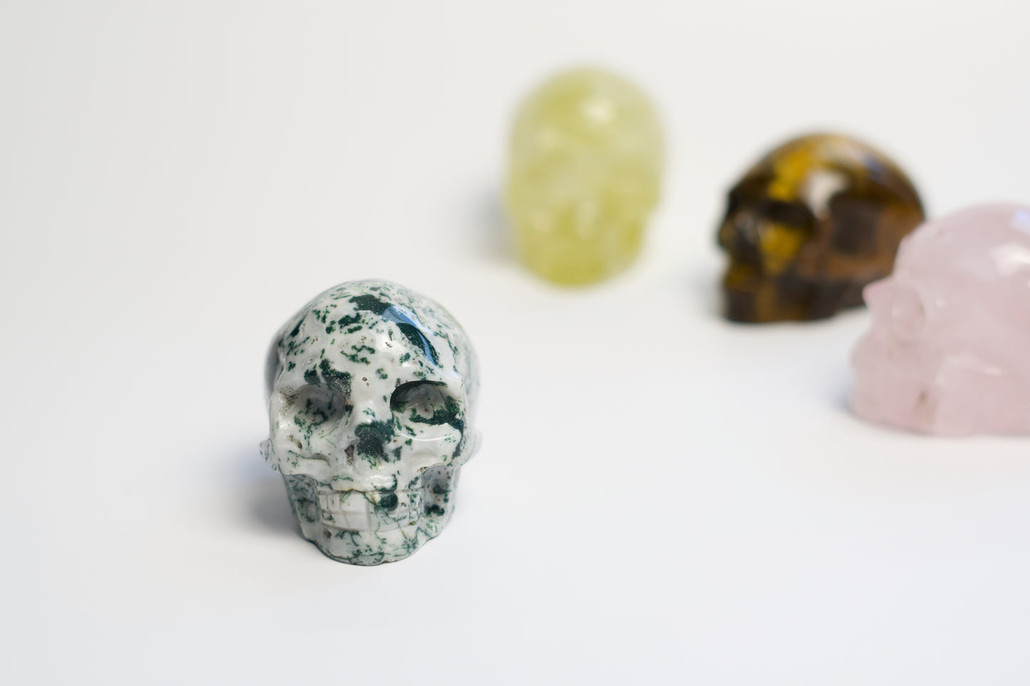 MD SKULL | TREE AGATE | G119