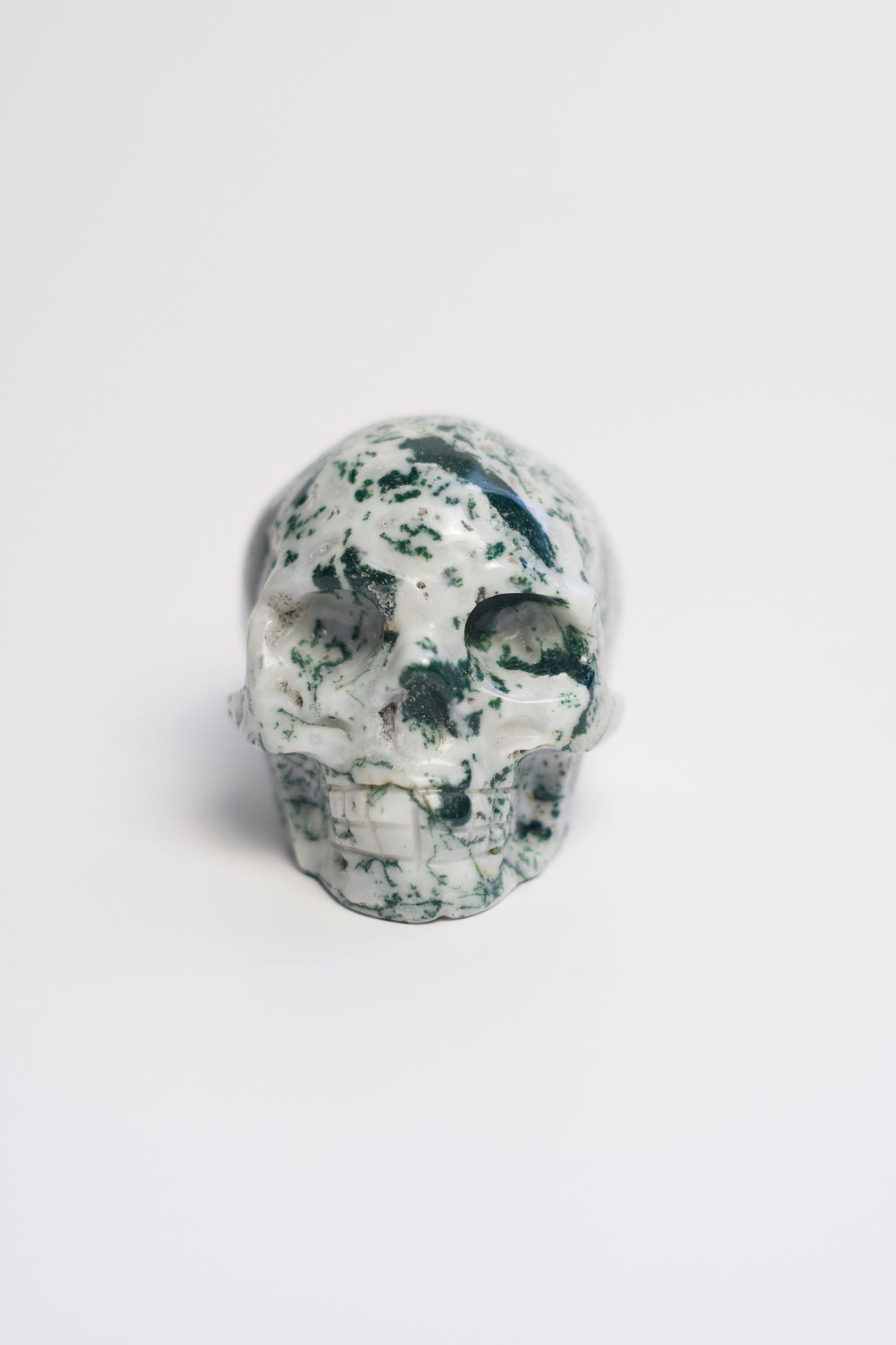 MD SKULL | TREE AGATE | G119