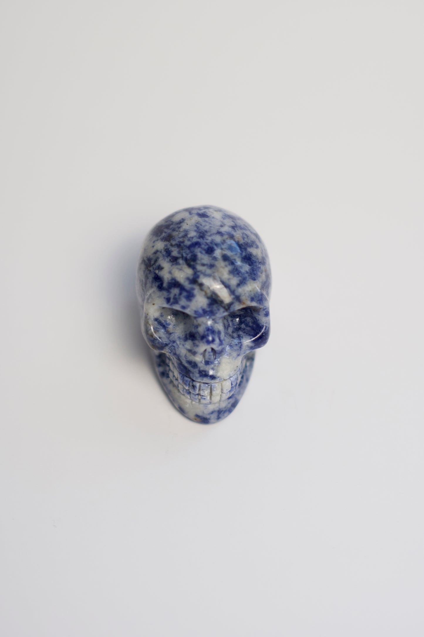 SM SKULL | SODALITE | G139