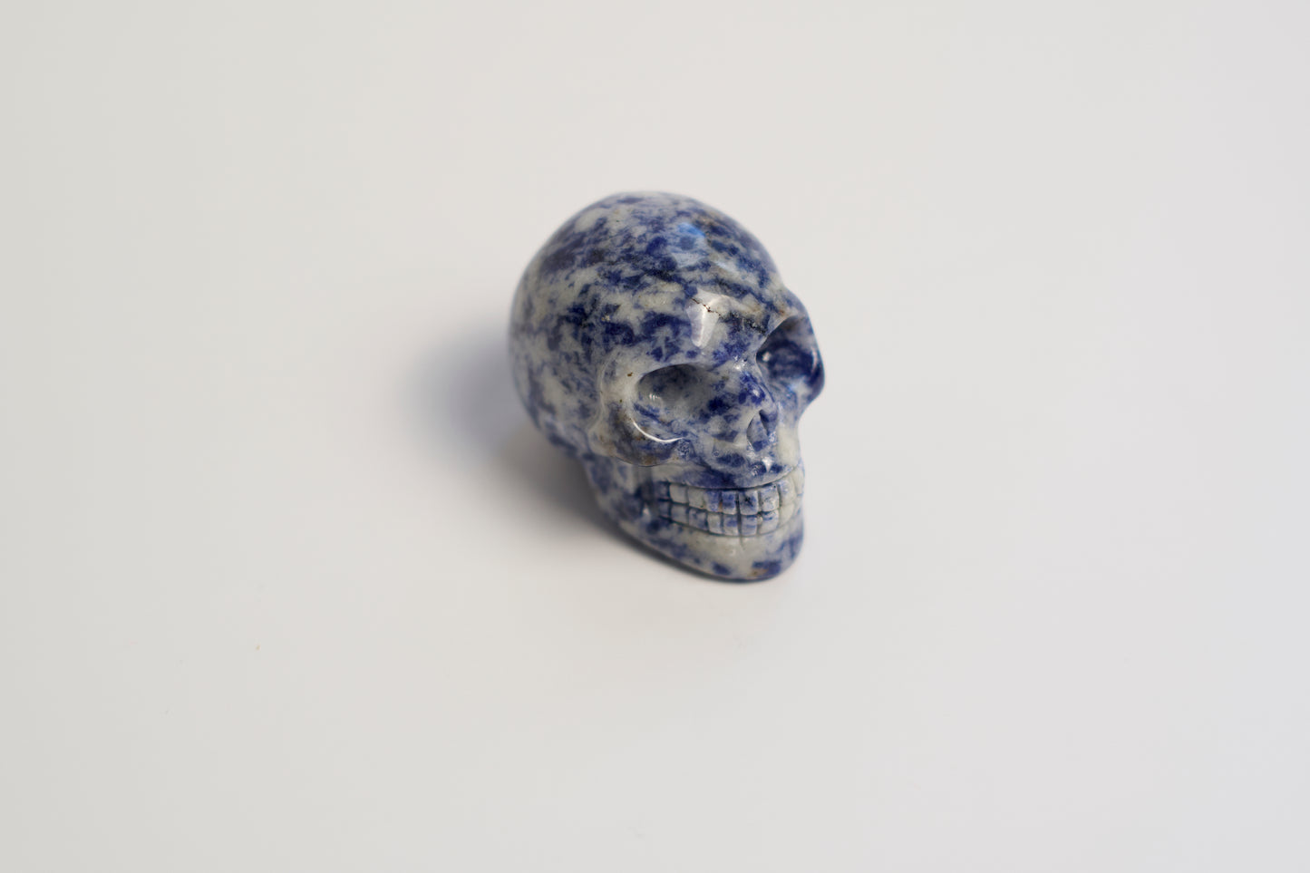 SM SKULL | SODALITE | G139