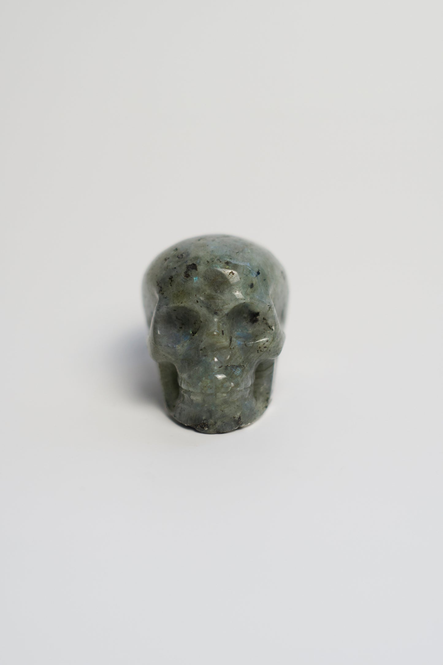 SM SKULL | LABRADORITE | G137