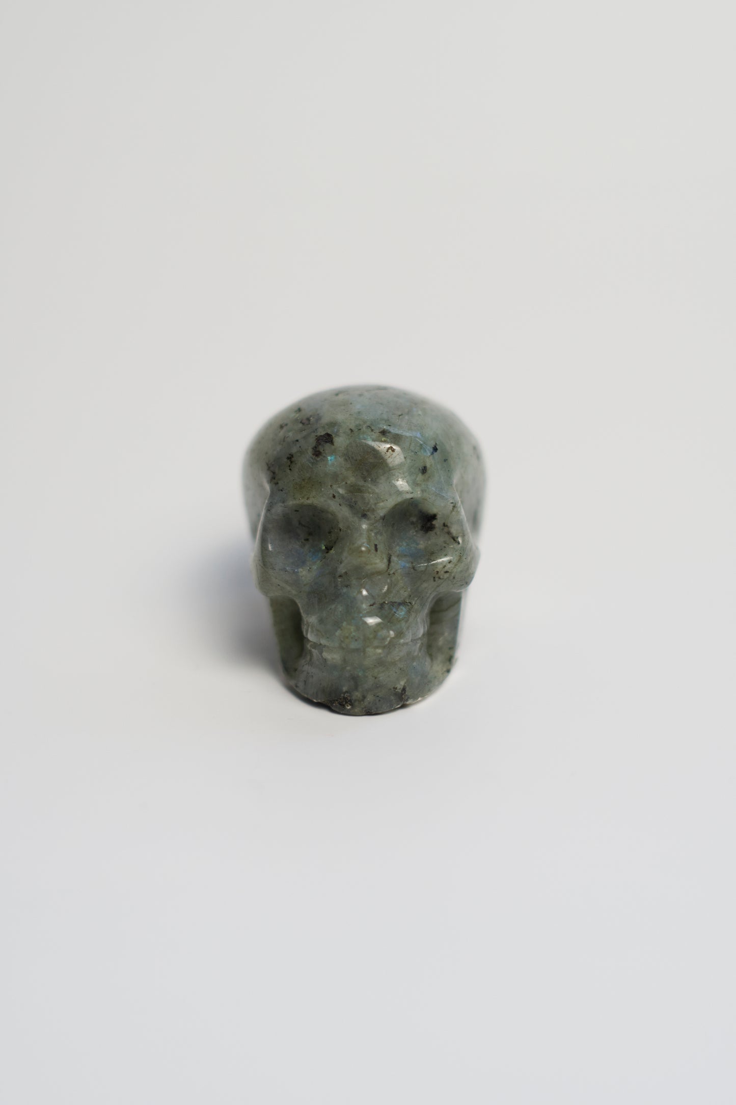 SM SKULL | LABRADORITE | G137