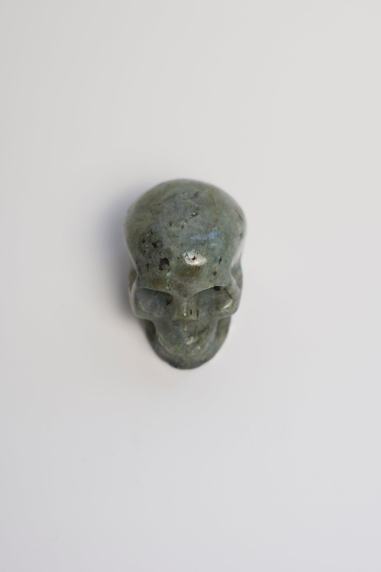 SM SKULL | LABRADORITE | G137