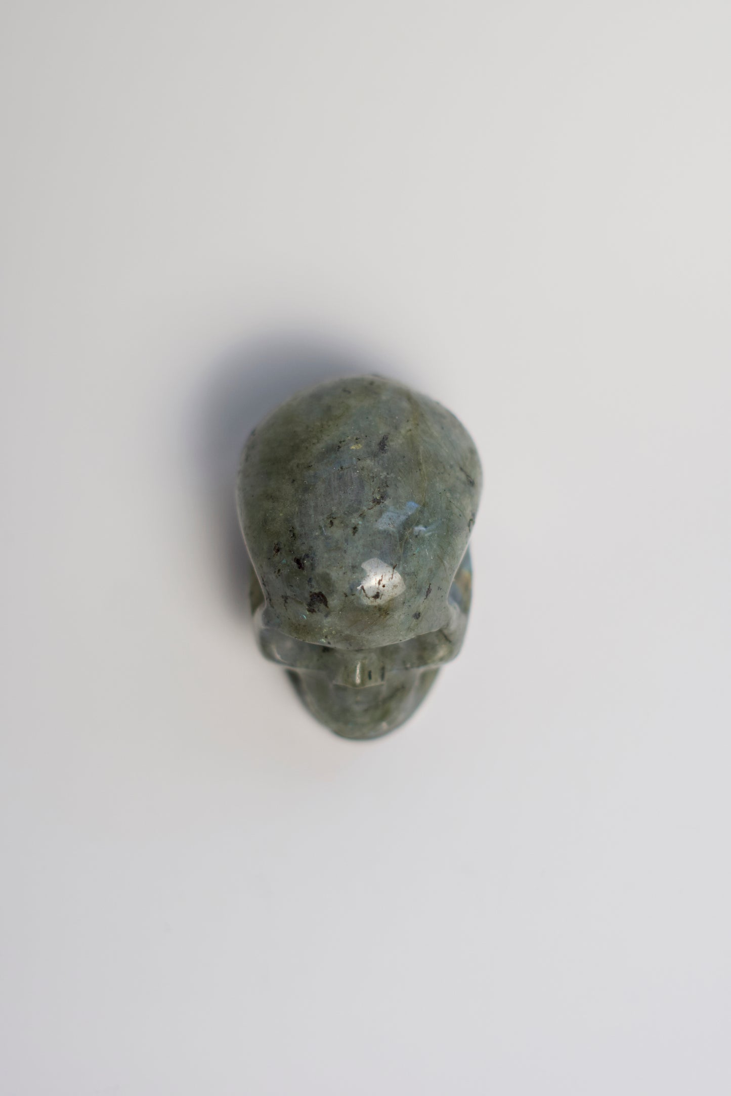 SM SKULL | LABRADORITE | G137