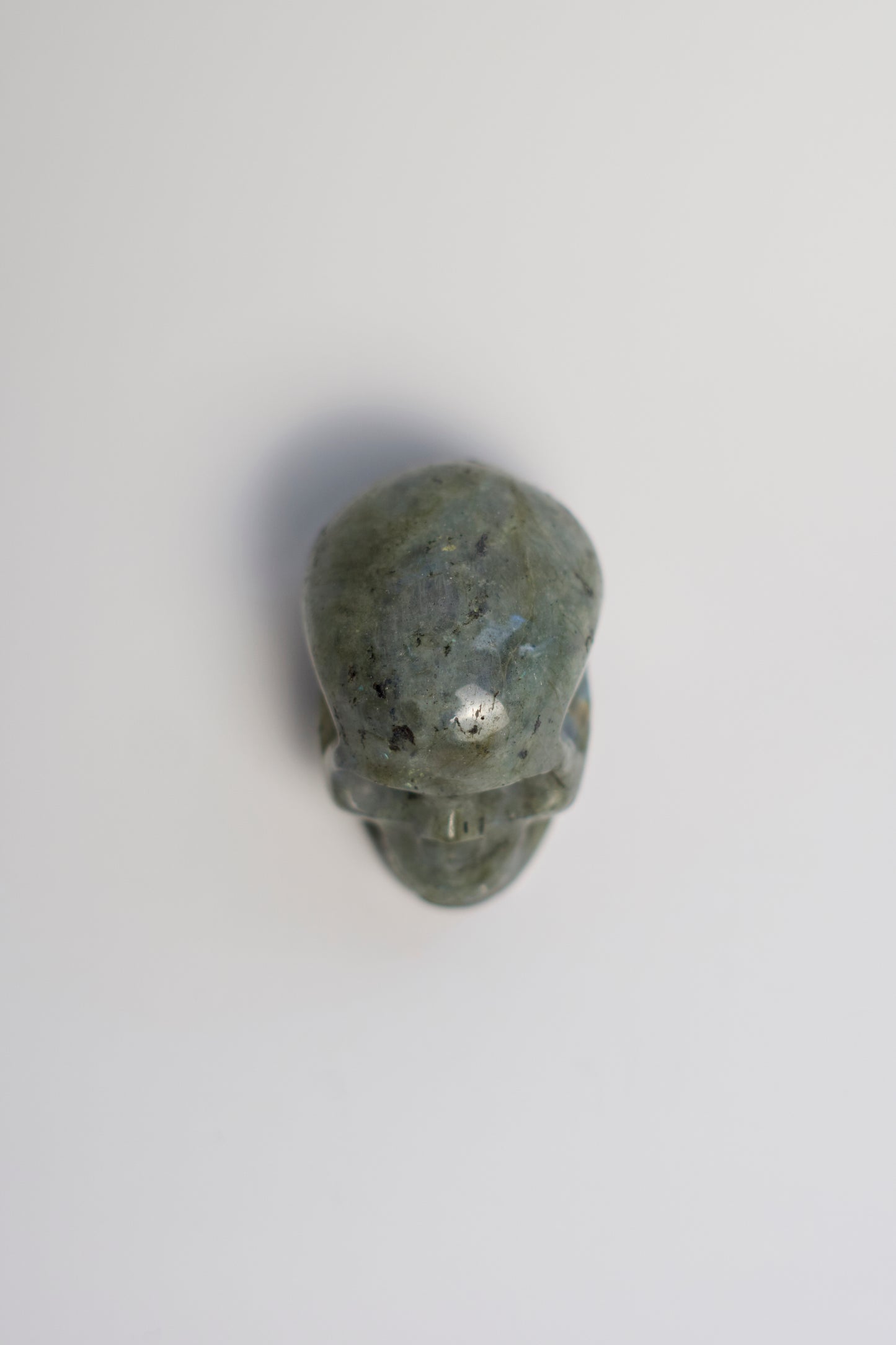 SM SKULL | LABRADORITE | G137