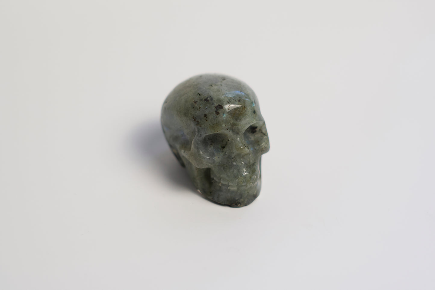 SM SKULL | LABRADORITE | G137