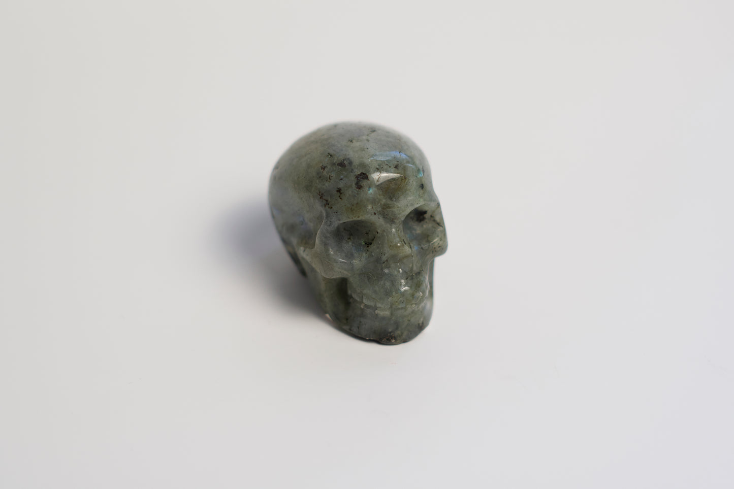 SM SKULL | LABRADORITE | G137